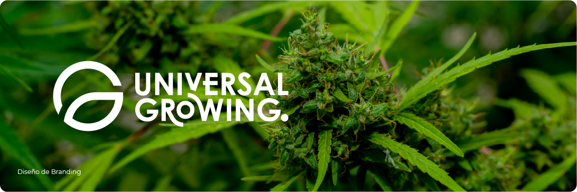 Universal Growing logo